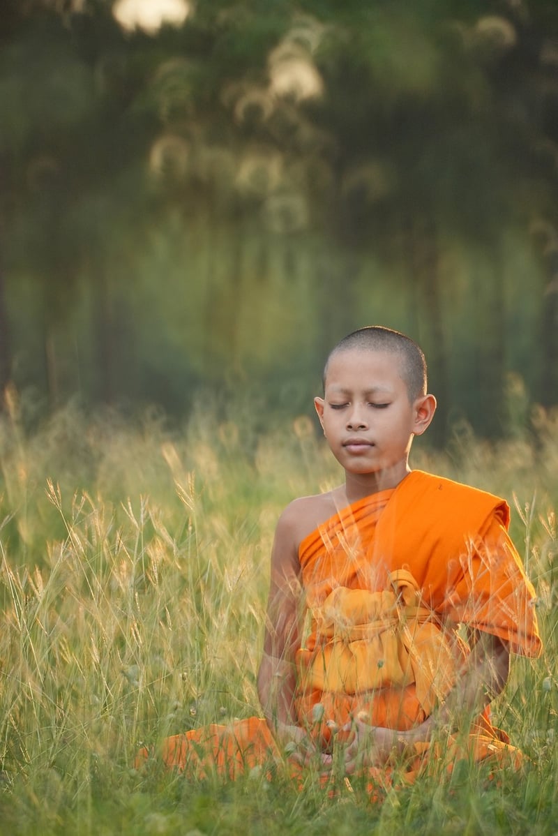 Conscious Walking