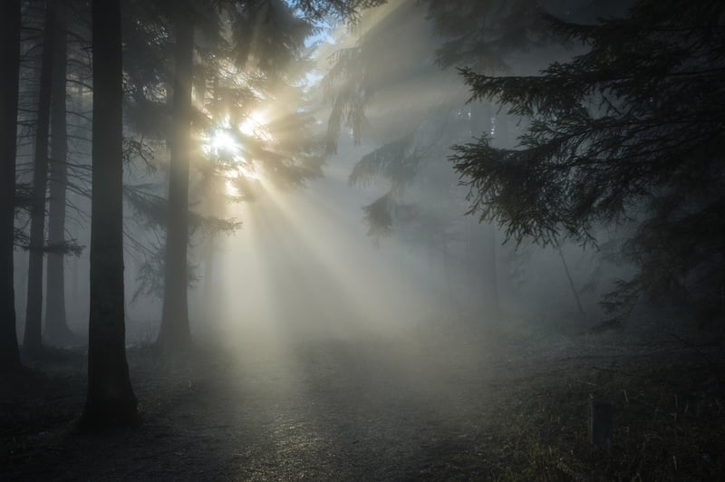 Relaxing landscape